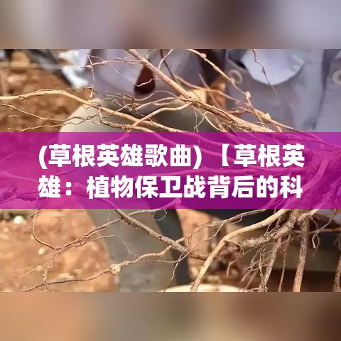 (草根英雄歌曲) 【草根英雄：植物保衛(wèi)戰(zhàn)背后的科學(xué)揭秘！洞察自然界的神奇防御機(jī)制】